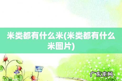 米类都有什么米图片 米类都有什么米