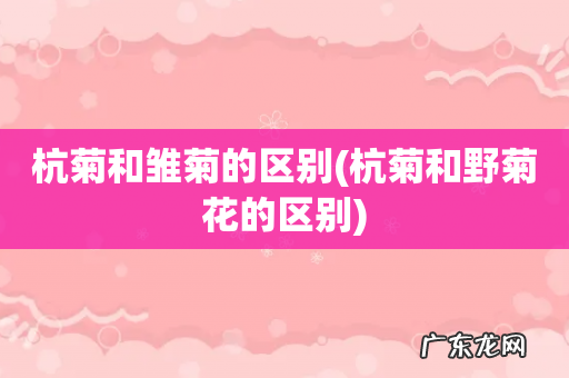杭菊和野菊花的区别 杭菊和雏菊的区别