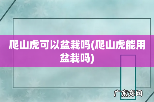 爬山虎能用盆栽吗 爬山虎可以盆栽吗
