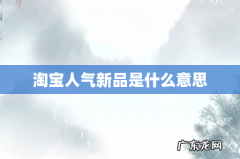 淘宝人气新品是什么意思