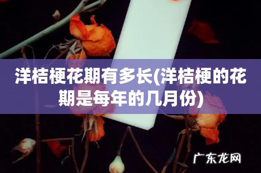 洋桔梗的花期是每年的几月份 洋桔梗花期有多长