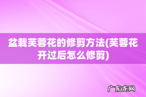 芙蓉花开过后怎么修剪 盆栽芙蓉花的修剪方法