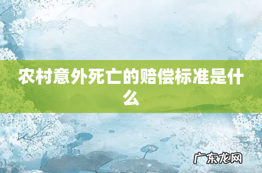 农村意外死亡的赔偿标准是什么