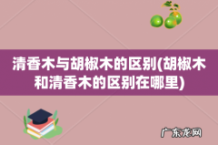 胡椒木和清香木的区别在哪里 清香木与胡椒木的区别