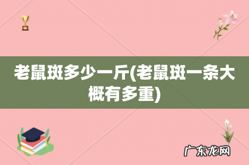 老鼠斑一条大概有多重 老鼠斑多少一斤