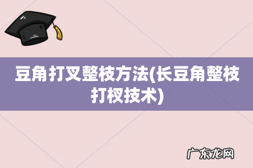 长豆角整枝打杈技术 豆角打叉整枝方法