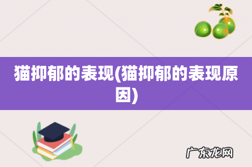 猫抑郁的表现原因 猫抑郁的表现