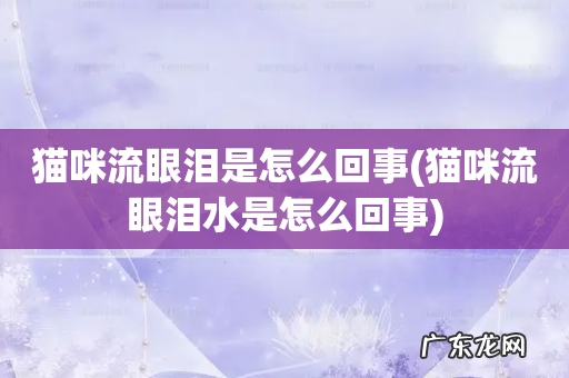 猫咪流眼泪水是怎么回事 猫咪流眼泪是怎么回事