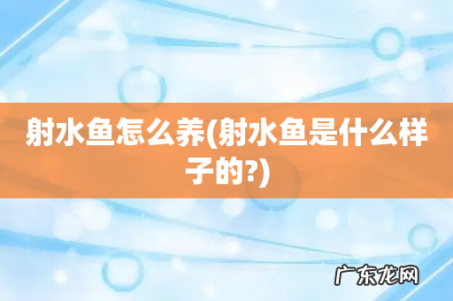 射水鱼是什么样子的? 射水鱼怎么养