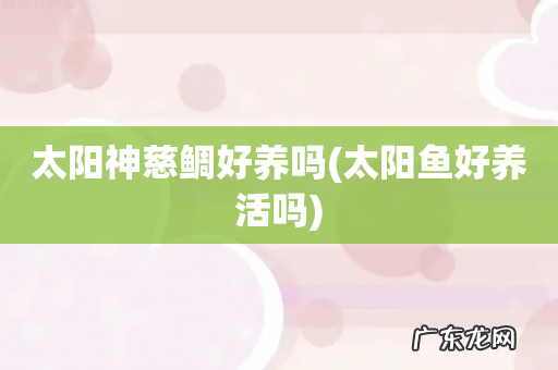 太阳鱼好养活吗 太阳神慈鲷好养吗