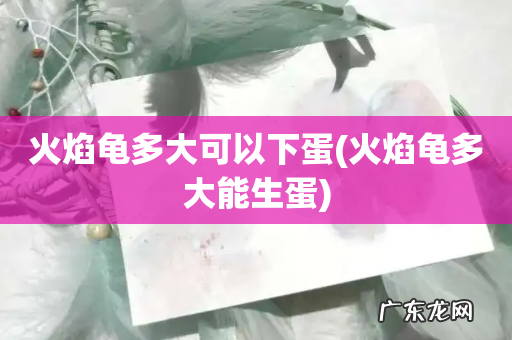 火焰龟多大能生蛋 火焰龟多大可以下蛋