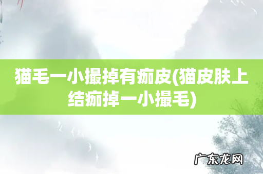 猫皮肤上结痂掉一小撮毛 猫毛一小撮掉有痂皮