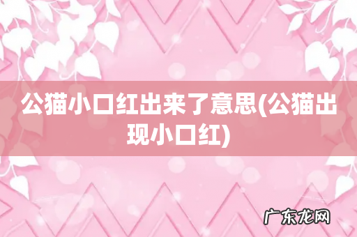 公猫出现小口红 公猫小口红出来了意思