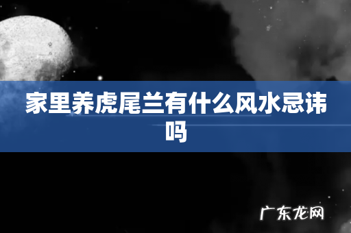 家里养虎尾兰有什么风水忌讳吗