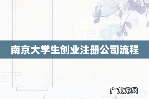 南京大学生创业注册公司流程