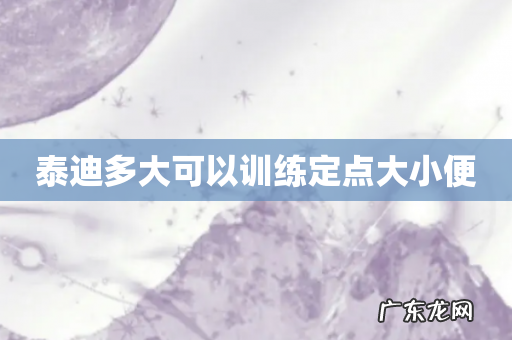 泰迪多大可以训练定点大小便