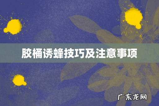 胶桶诱蜂技巧及注意事项