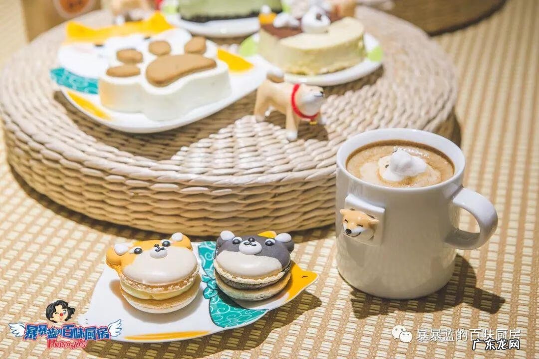 柴米豆 小柴豆柴