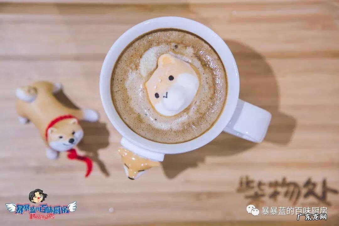 柴米豆 小柴豆柴