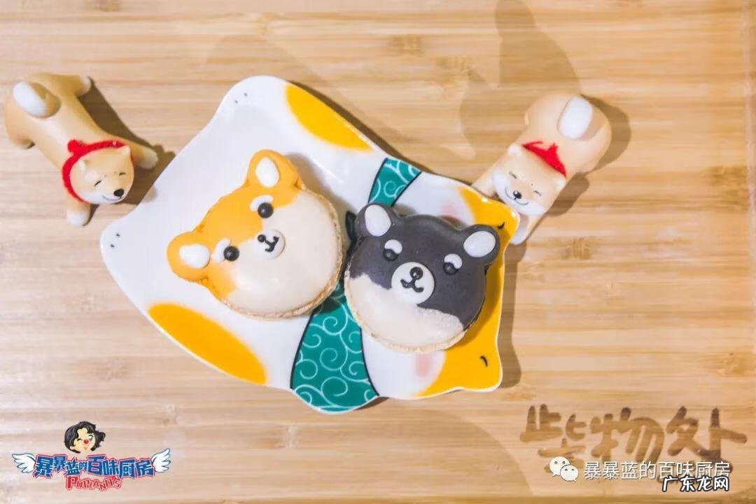 柴米豆 小柴豆柴