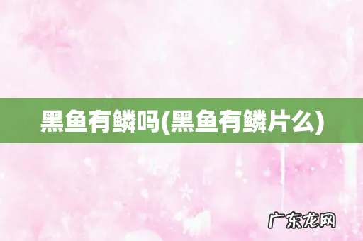 黑鱼有鳞片么 黑鱼有鳞吗