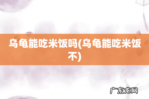 乌龟能吃米饭不 乌龟能吃米饭吗