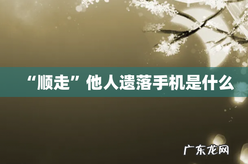 “顺走”他人遗落手机是什么