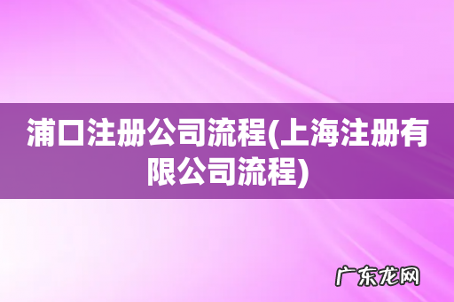 上海注册有限公司流程 浦口注册公司流程