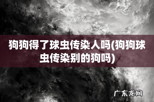狗狗球虫传染别的狗吗 狗狗得了球虫传染人吗