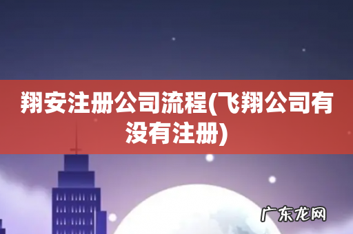 飞翔公司有没有注册 翔安注册公司流程