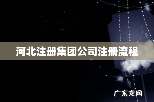 河北注册集团公司注册流程