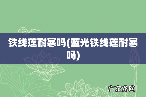 蓝光铁线莲耐寒吗 铁线莲耐寒吗