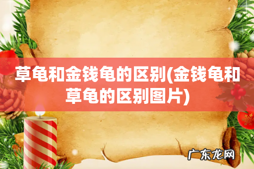 金钱龟和草龟的区别图片 草龟和金钱龟的区别