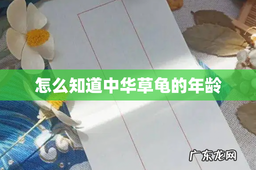 怎么知道中华草龟的年龄