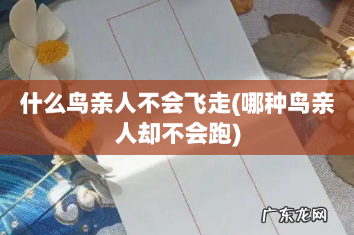 哪种鸟亲人却不会跑 什么鸟亲人不会飞走