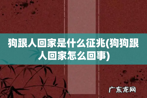 狗狗跟人回家怎么回事 狗跟人回家是什么征兆
