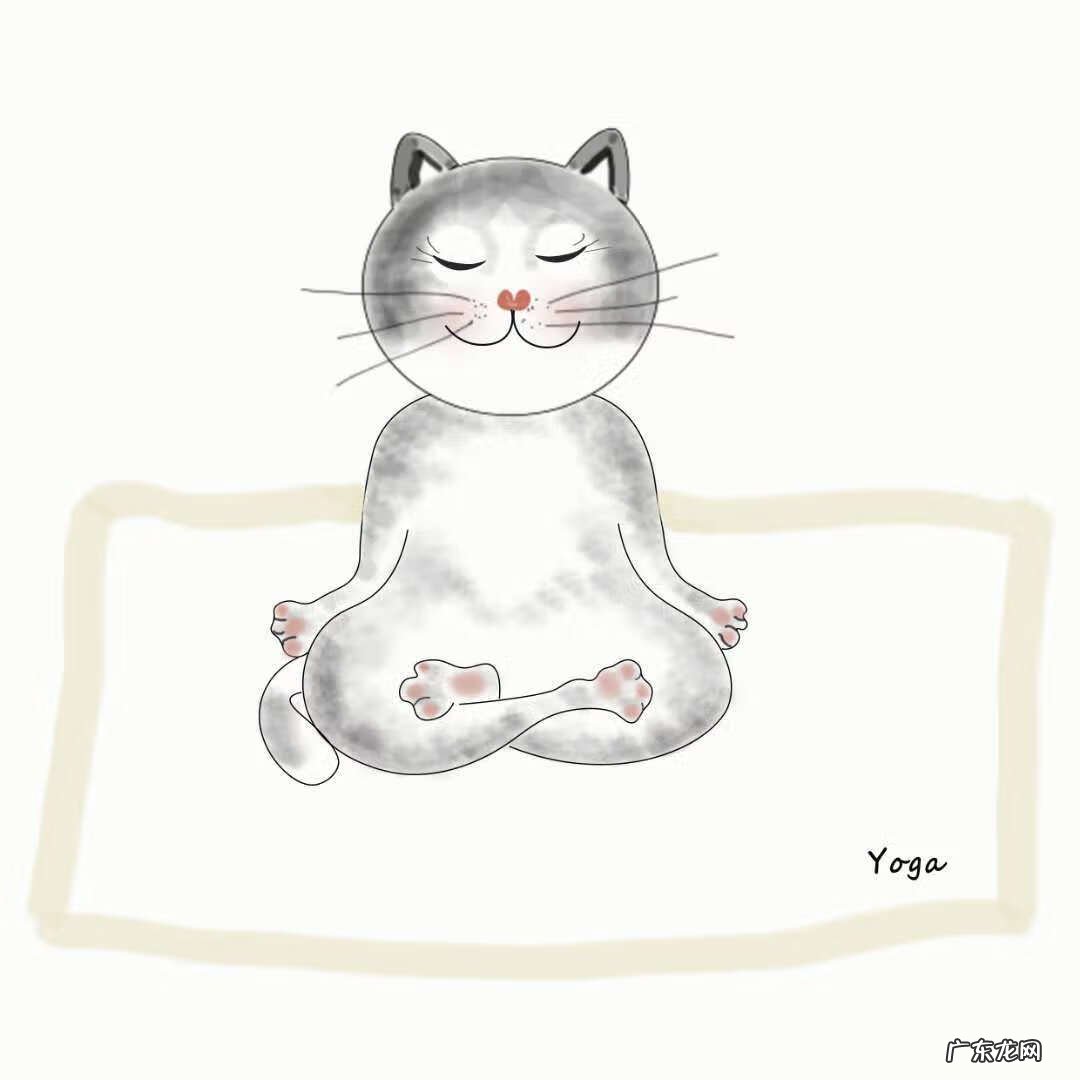 瑜伽私教排课思路 瑜伽排课怎么排