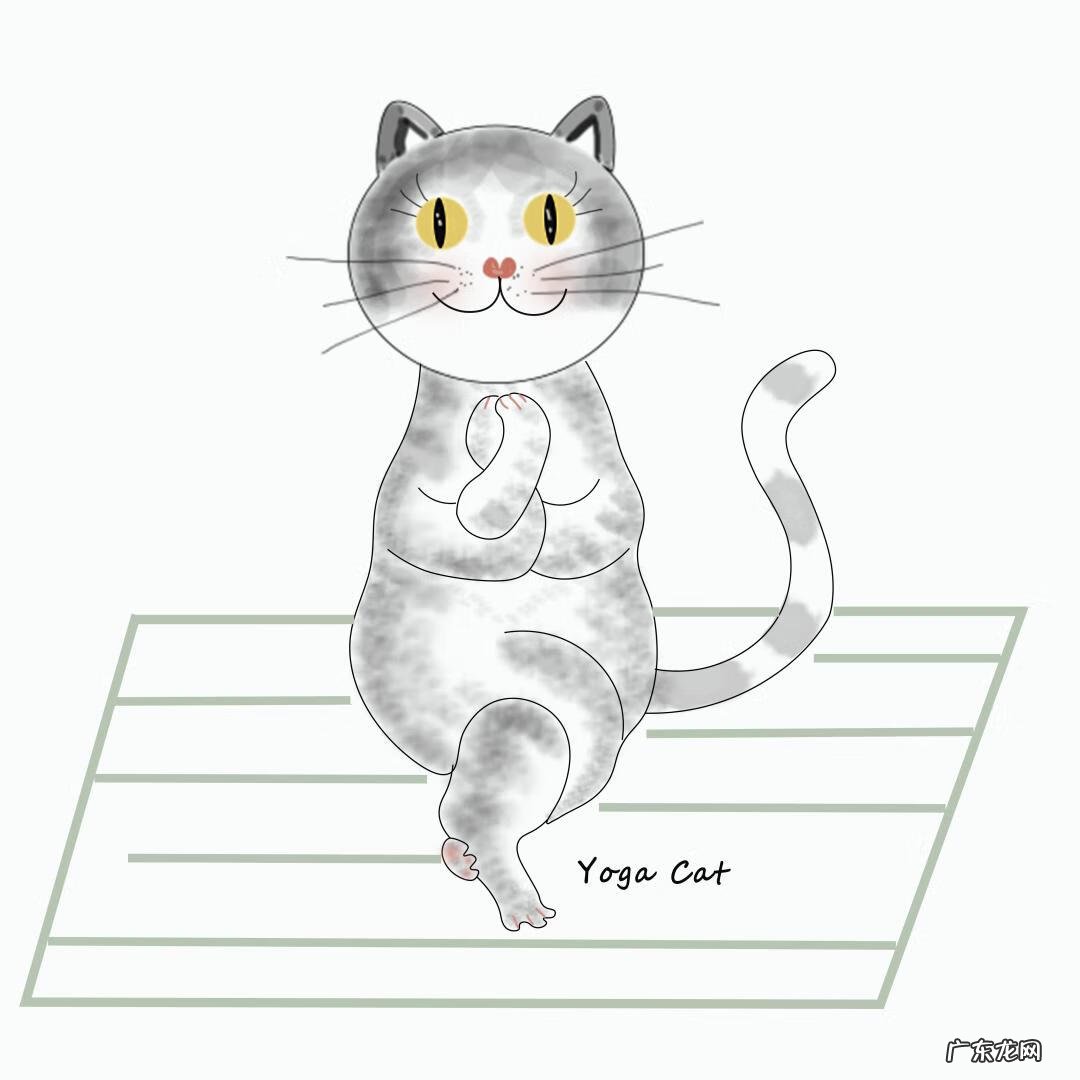 瑜伽私教排课思路 瑜伽排课怎么排