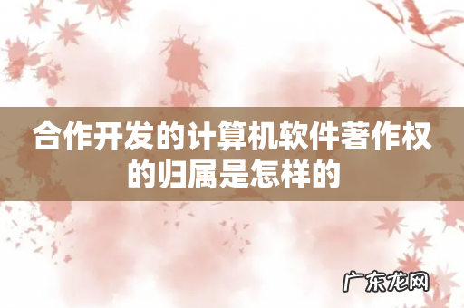 合作开发的计算机软件著作权的归属是怎样的