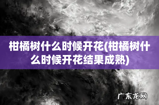 柑橘树什么时候开花结果成熟 柑橘树什么时候开花