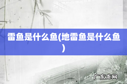 地雷鱼是什么鱼 雷鱼是什么鱼