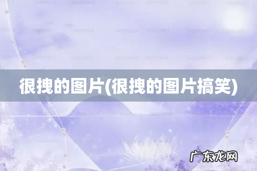 很拽的图片搞笑 很拽的图片