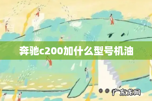 奔驰c200加什么型号机油