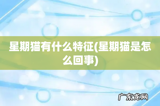 星期猫是怎么回事 星期猫有什么特征