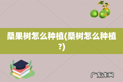 桑树怎么种植? 桑果树怎么种植