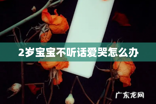 2岁宝宝不听话爱哭怎么办