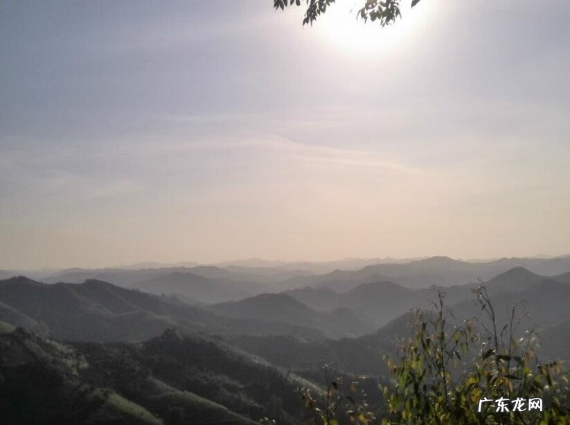 风水凤凰形状什么位置好 风水凤凰地