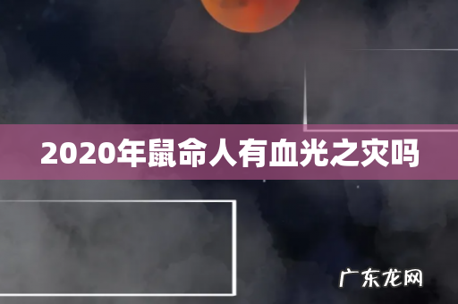 2020年鼠命人有血光之灾吗