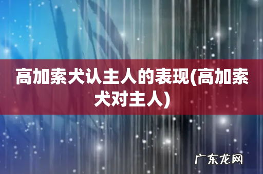 高加索犬对主人 高加索犬认主人的表现