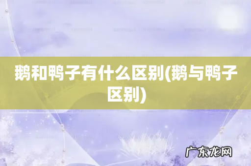 鹅与鸭子区别 鹅和鸭子有什么区别